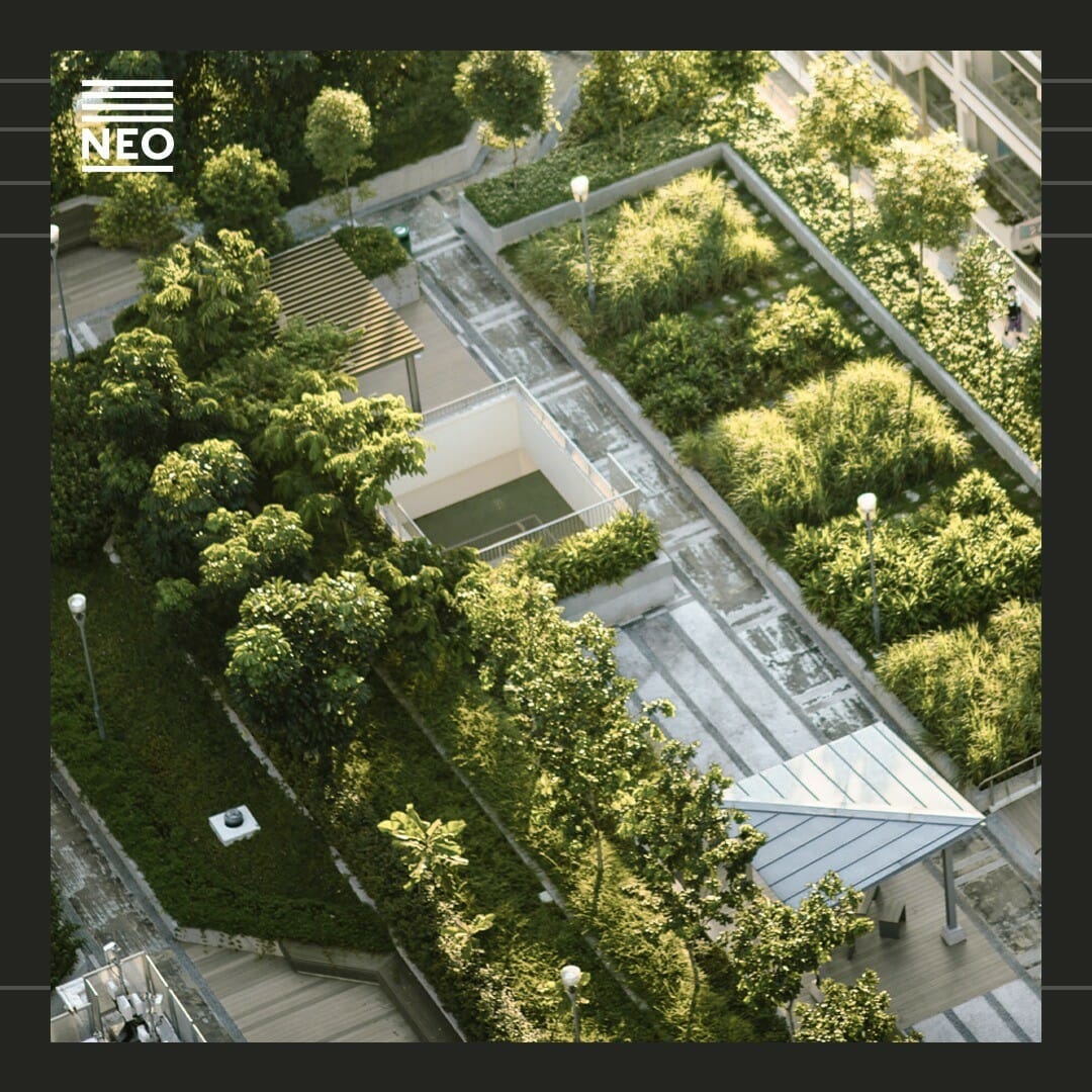 Im neuen N30 | NEO wird es eine begrünte Dachterrasse geben. NEO Leipzig Dachterrasse