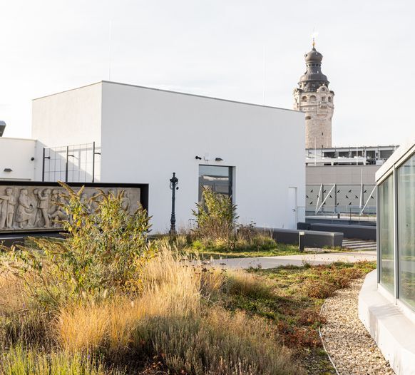 Dachgarten auf dem NEO Gebäude mit Blick auf den Rathausturm