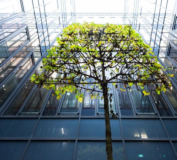 Lichthof im NEO mit Baum